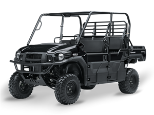 MULE PRO-DXT 2025